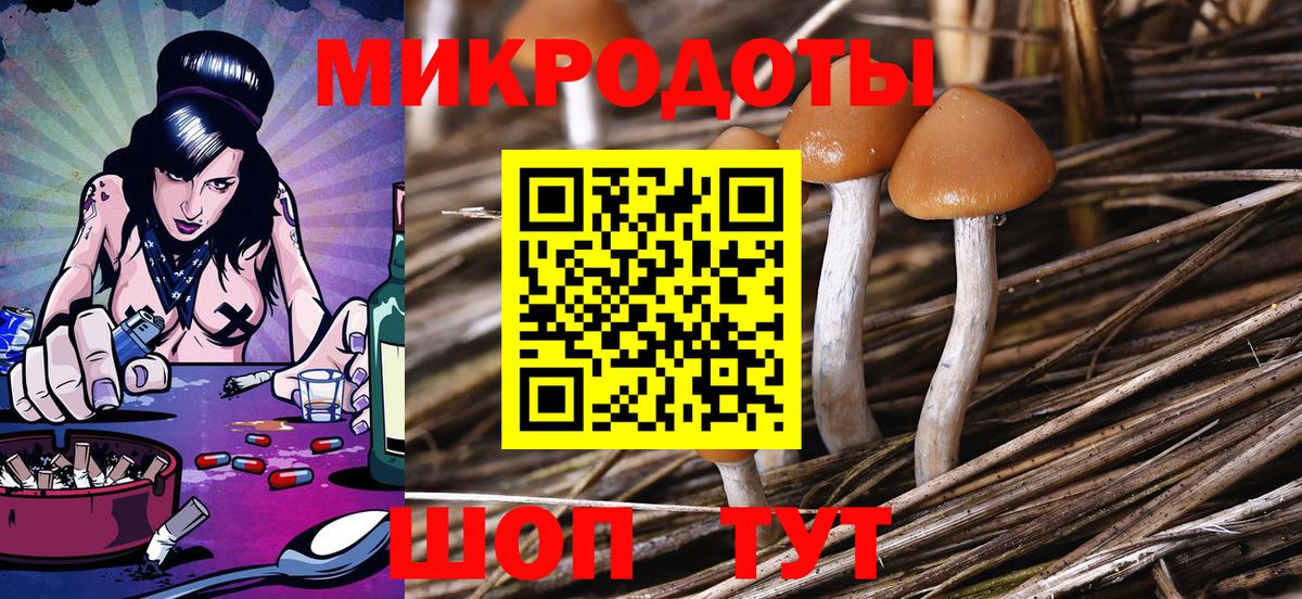 Галлюциногенные грибы MAGIC MUSHROOMS Конаково