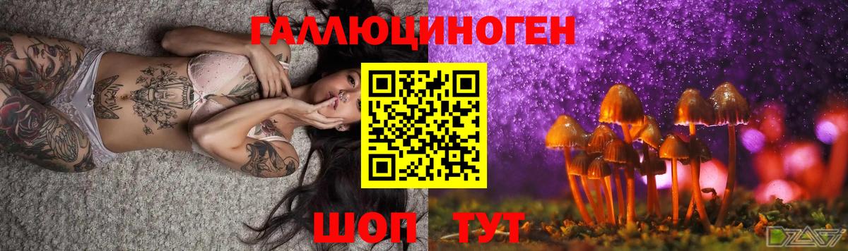 Конаково  Галлюциногенные грибы мухоморы  Вход с VPN  Галлюциногенные грибы Psilocybe 